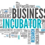 Business Incubators