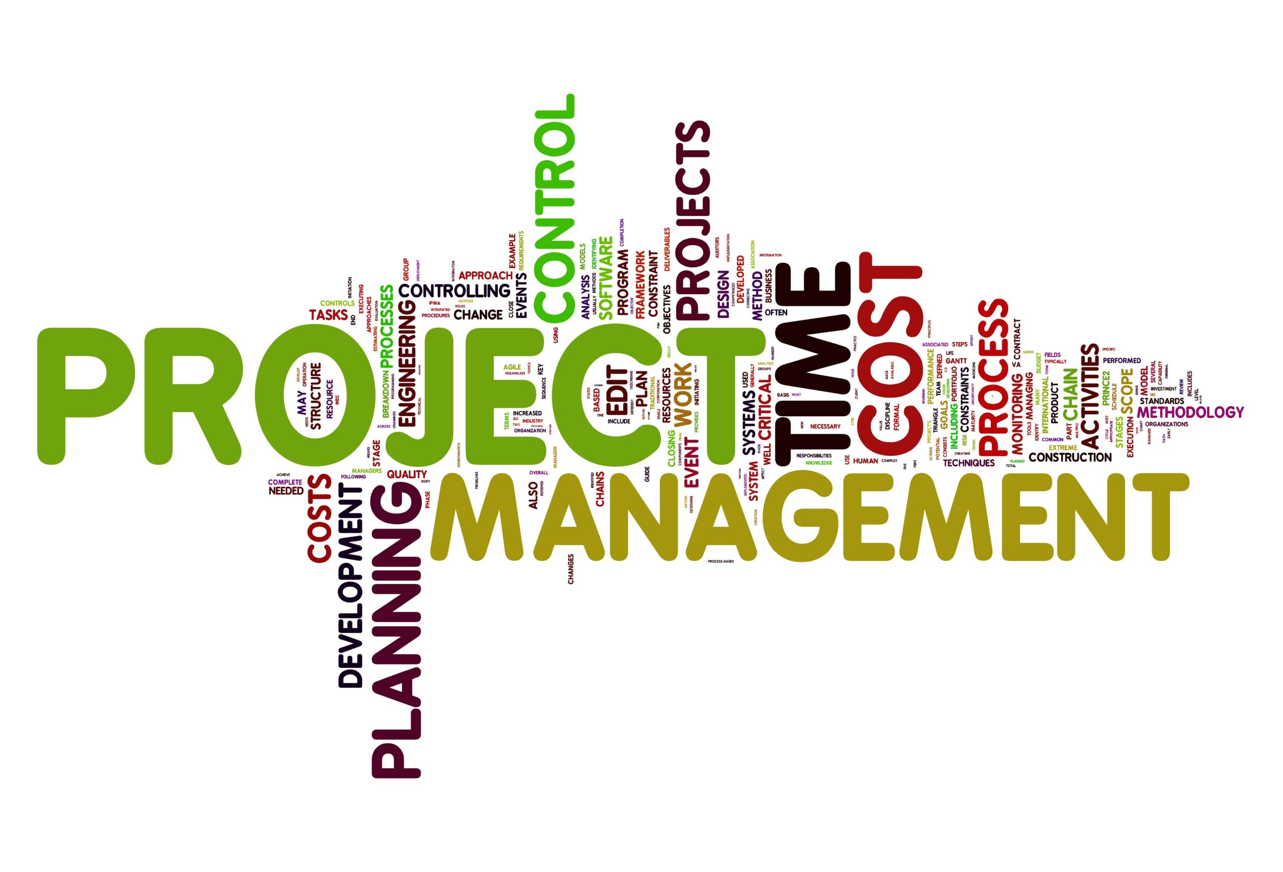 What is project management