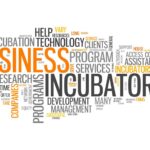 What does business incubation mean