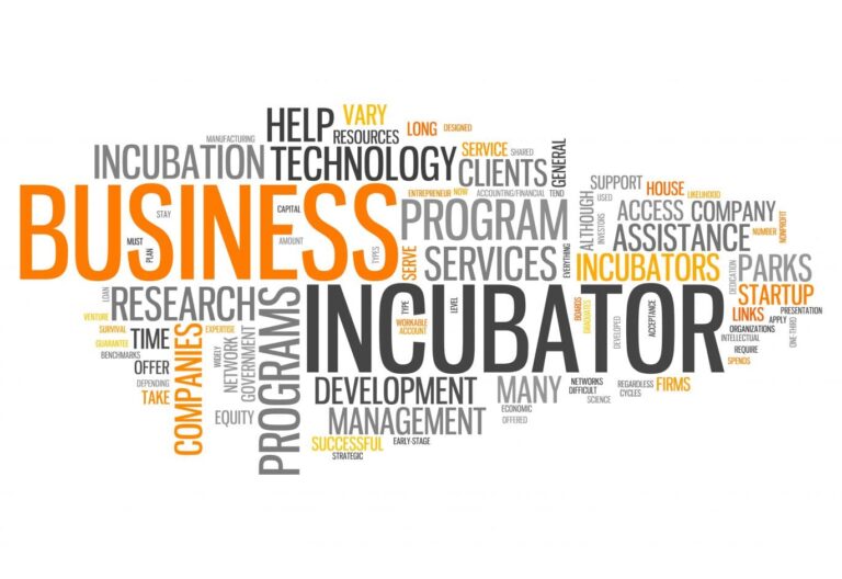 What does business incubation mean?