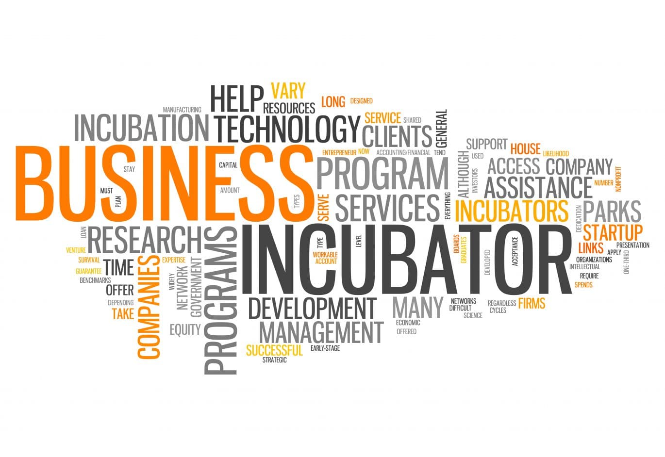 What does business incubation mean